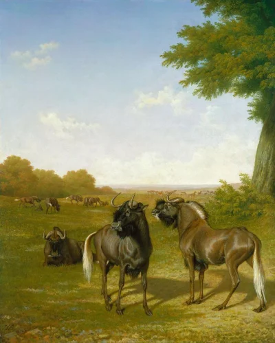 wfyokyga - Jacques-Laurent Agasse x2, lubił zwierzątka malować.
#sztukadoyebana