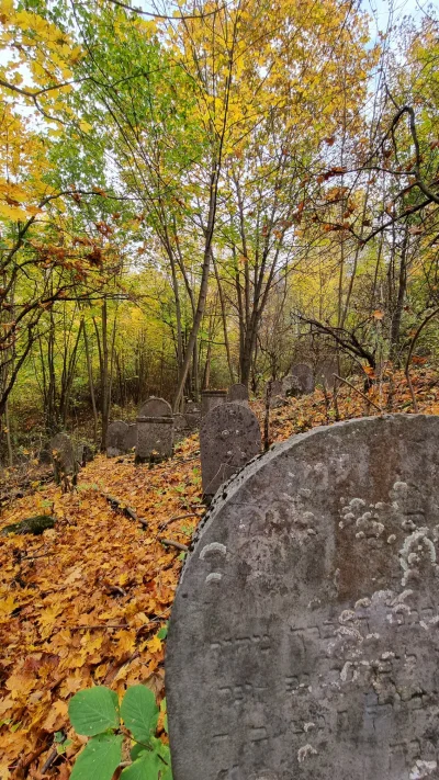 Dr_Killjoy - @Pannoramix 

Przy okazji polecam przejść się na pobliski zapomniany kir...