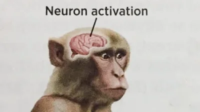 Foxington - Dzisiaj mój mózg nie pracuje XD "neuron activation" nie stwierdzono
