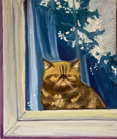 pome8_8 - Zniesmaczony kot w oknie, 2022
Olej na płótnie, 30x25
#pomeart 
#malarstwo ...
