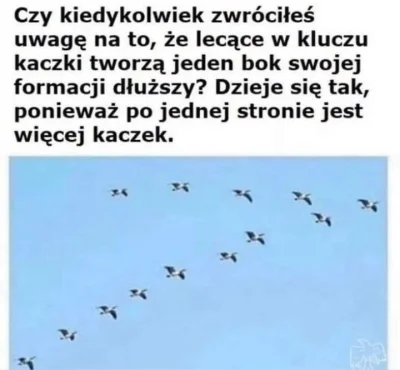 SynGilgamesza - #heheszki #humorobrazkowy #ciekawostki