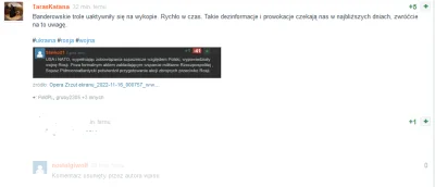 nostalgiwolf - Typ prowadzi antyukraińską propagandę wrzucając posty trolli powołując...