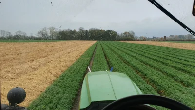 Adams88878 - Marchewkowe 
Pole rośnie wokół nas...
#rolnictwo #traktorboners