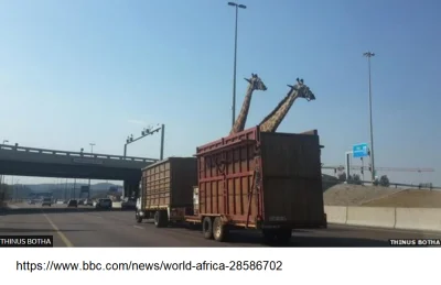 cweks - https://www.bbc.com/news/world-africa-28586702