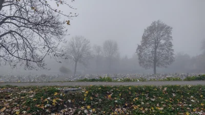 recenzor - Smog, smog i smog na dokładkę.
Kilka dni temu był taki syf w powietrzu, ż...