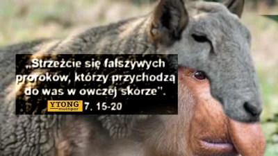 kacperski1 - fałszywego proroka poznasz po uciemiężonym wzroku i aurze niesprawiedliw...