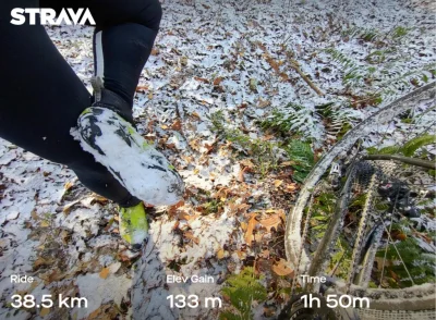 S.....i - 986 844 + 39 = 986 883

Tak mi się spodobało wczoraj w lesie, że dzisiaj zn...