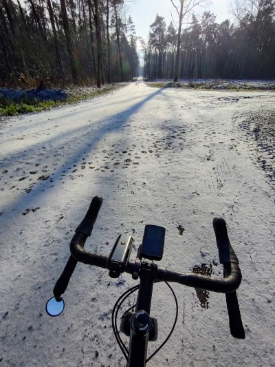 S.....i - @StulejmanWielki: leśne autostrady