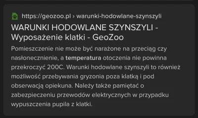 paczelok - #szynszyla