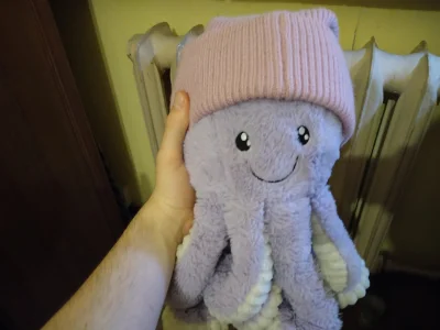 SzycheU - @Chodtok: Też mam octopusa, nazywa się Marian.
Zabrałem dziewczynie czapkę...