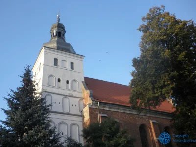 Wilczur79 - Kościół w Raciążku z Hieronima fundacji

Falsyfikat mogileński jest wys...