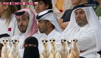 ab6661 - #katar #mundial #mecz