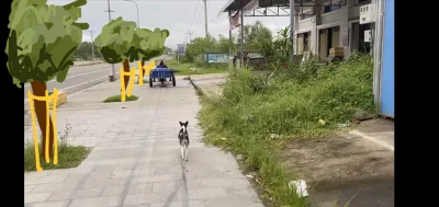 Madyniak - Machaju, fajnie, że zieleń się pojawiła pod zadaszeniem, może jeszcze z są...