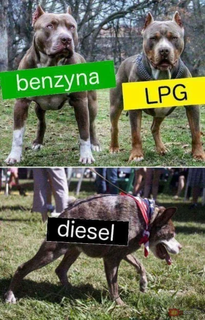 h.....4 - Benzyniak - - > diesel

Wsiadasz sobie w mróz do benzyniaka
Pół obrotu rozr...