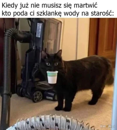 vikop-ru - xDDDD

#humorobrazkowy #heheszki #koty #kitku