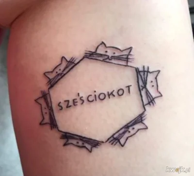 v.....u - 乁(♥ ʖ̯♥)ㄏ

#humorobrazkowy #heheszki #koty #kitku #tatuazboners