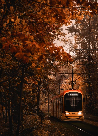 mrsopelek - Najczęściej kursująca linia tramwajowa w Polsce.

#sopelek #warszawa #t...