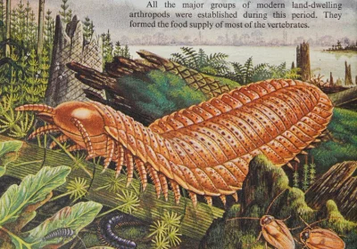 Borealny - The World of Dinosaurs. 
L. B. Halstead. 1979. ~źródło
#paleontologia #p...