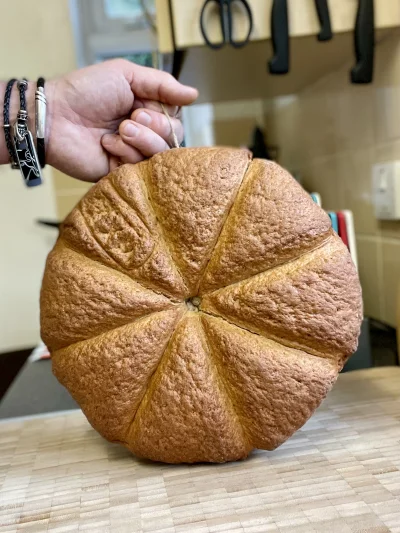 neales - @neales:Pompeii Bread 2000 years old
My reconstruction

Więcej zdjęć na i...