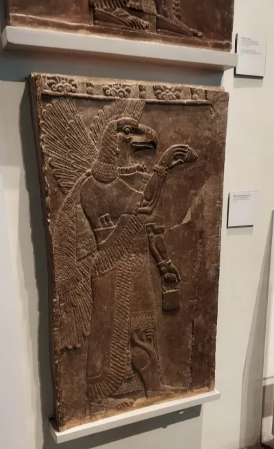 Perla_Export - Apkallu z Muzeum Brytyjskiego. 

#mezopotamia #starozytnosc #histori...