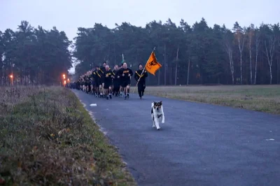 Moh1kanin - > Chico pojawił się w życiu Batalionowej Grupy Bojowej NATO mniej więcej ...