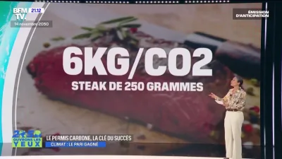 awres - A we Francji w TV "permis carbonne" 2T na rok

Dla przykładu:
Stek 1/4 kg ...