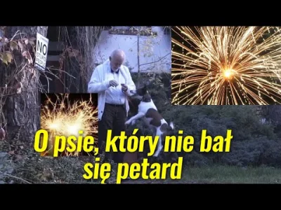 GOOF1 - Jeden piesek nie boi fajerwerków wiec każdy piesek nie boi się fajerwerków. P...