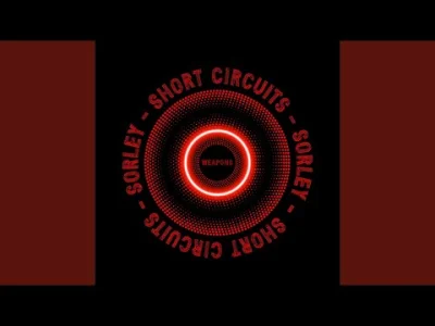 grubyportfel - Short Circuits - Sorley
#muzyka #muzykaelektroniczna