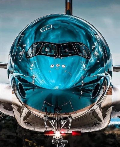Sultanat_Muszelki - Airbus A350

#fotografia #lotnictwo #samoloty