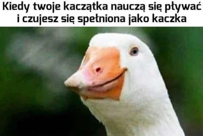 virgola - @Kolczaneiro: Jak mama kaczka ( ͡° ͜ʖ ͡°)
Dzięki, dzięki, ale tak na serio...