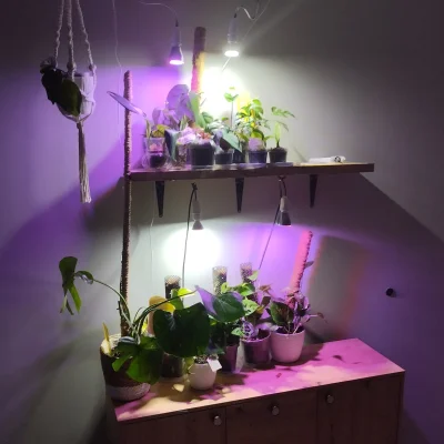 Idahoo - W końcu skończyłem oświetlenie do roślin w sypialni. 2 żarówki grow LED po 3...