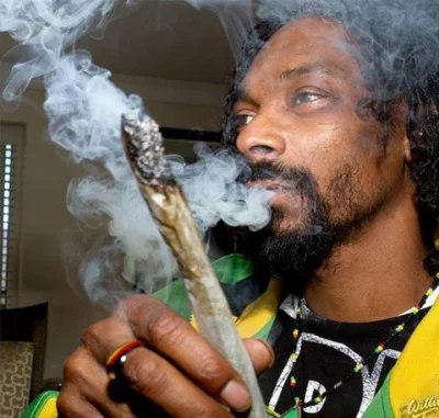 Tupac_Shakur - @Kielek96: smoke weed everyday ( ͡° ͜ʖ ͡°)