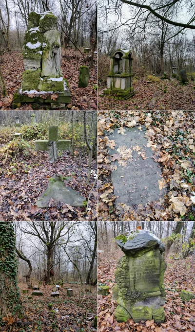 StulejmanWielki - @StulejmanWielki: XIX zrujnowany cmentarz prawosławny wojskowy Twie...