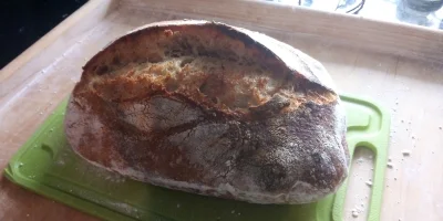 smyczy - #bojowkapiekarska #chleb #zakwas

UWAGA! Niedzielna kontrola chlebów.