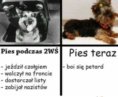 sorek - > promuje teorię dominacji która już została dość dawno obalona, tak się nie ...