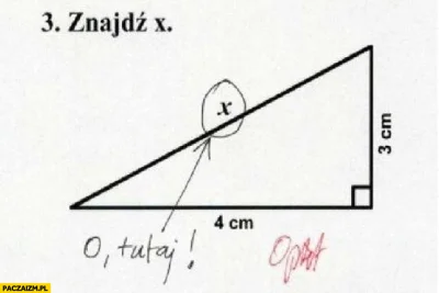 faxepl - @AmericanDreamX: czasem dostajesz zadanie aby znaleźć x ( ͡° ͜ʖ ͡°)