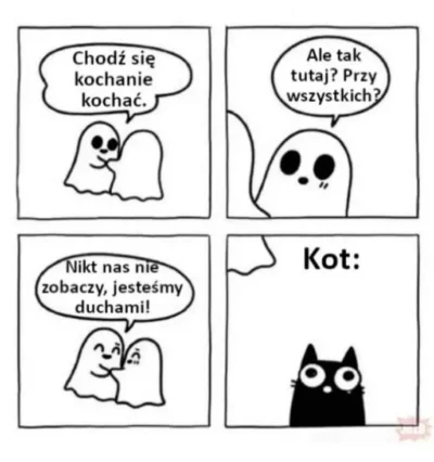 Puccaa - #koty #humorobrazkowy