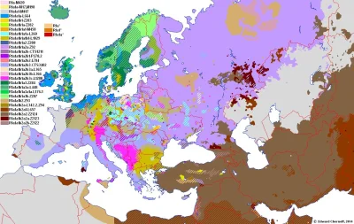 Kamill500 - Mutacje genetyczne R1a. Dolnoślązakom wyjątkowo blisko do Czechów i Górno...