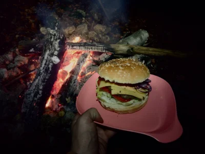 Zmija_Jadowita - #jedzzwykopem #bushcraft #survival #las 
Jeszcze sobie burgera w ty...