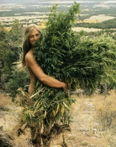 Sultanat_Muszelki - Ech te lata '70 ( ͡° ͜ʖ ͡°)

#fotografia #rozowepaski #marihuana ...