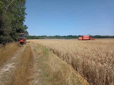 jmuhha - Pamiętam jak zrobiłam prawo jazdy w wieku 18 lat. I jak potem w pierwsze wak...