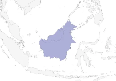 Lifelike - Zasięg występowania (Borneo):
