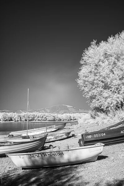 Monochrome_Man - Jezioro Żywieckie w podczerwieni ( ͡° ͜ʖ ͡°)ﾉ⌐■-■

#dailymonochrom...