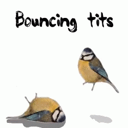 slabyslabek - @MalowanyPtak bouncing tits ( ͡° ͜ʖ ͡°)