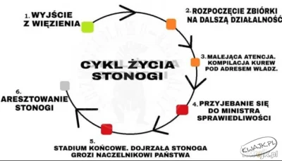 grzmislaw - @nobrainer: każdy pasożyt ma swój cykl ( ͡° ͜ʖ ͡°)