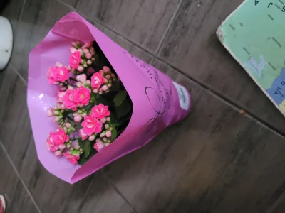 PepeHandss - Rózowe, teściowej wręczyć kwiatek z ta folią czy bez? 
#kwiaty #rozowep...
