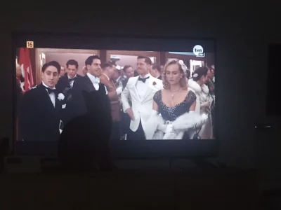 Toszeron - #film #tarantino #koty #pokazkota

Kuwra ja rozumiem, że to najlepszy fi...