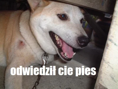 mujstaryxd - @Zsieci: