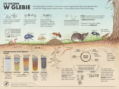 Lifelike - #graphsandmaps #nauka #biologia #przyroda #natura #infografika