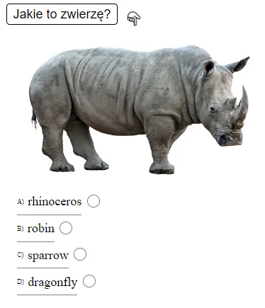 internetowy - Test znajomości zwierząt w języku angielskim
Więcej testów z angielski...